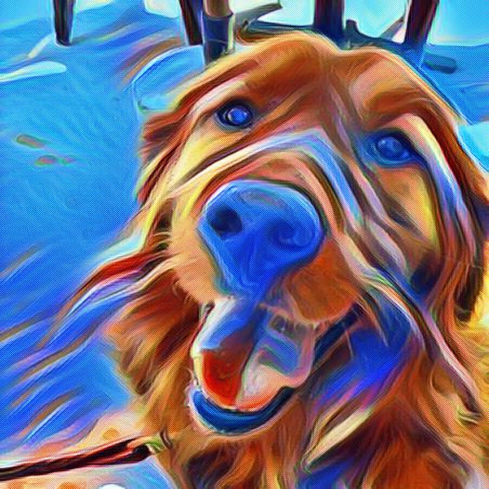 Shoots And Ladders (Korn Cover) LostNotFound