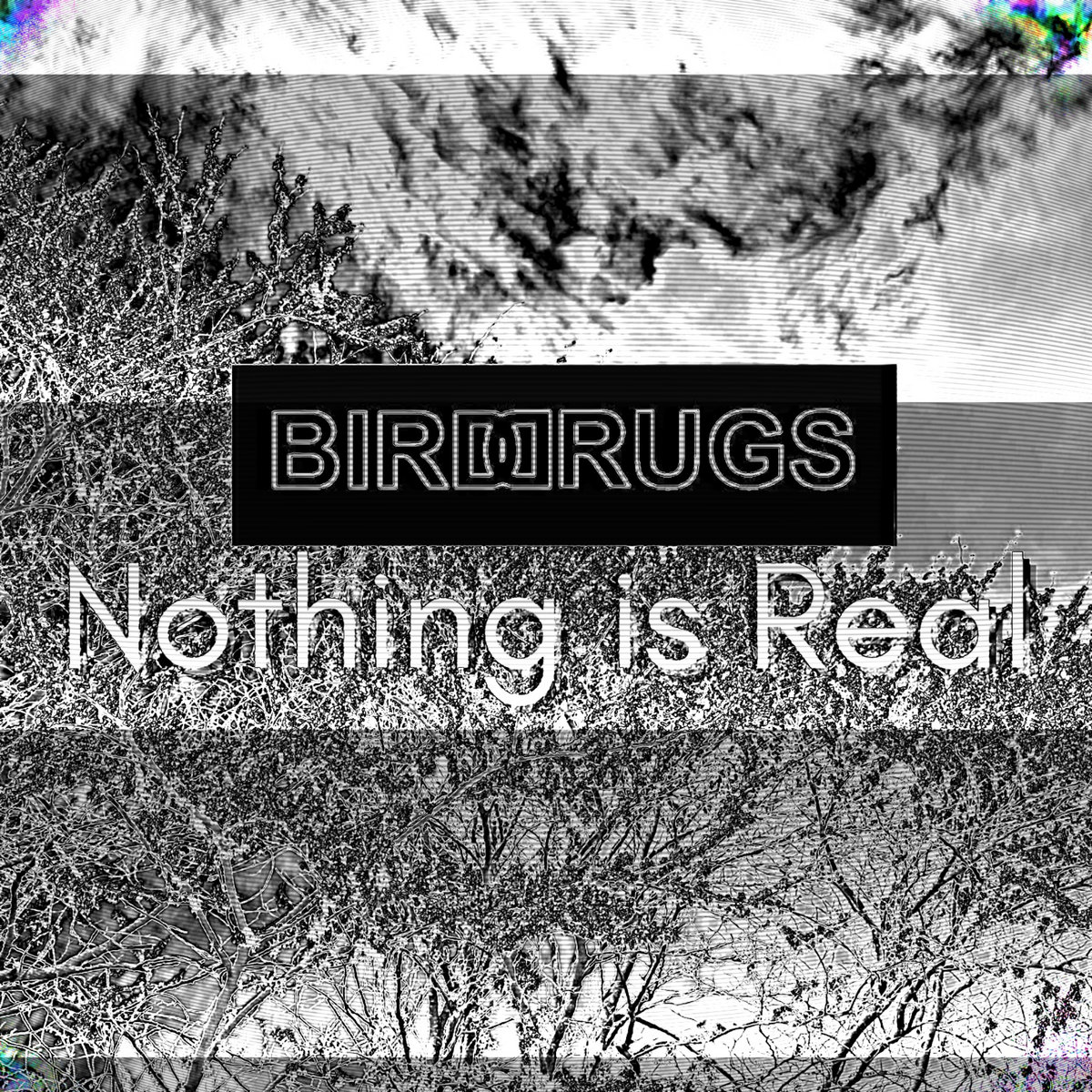 Nothing is Real BIRD DRUGS