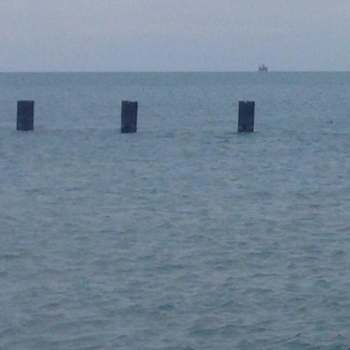 Throwing Your Voice Bats