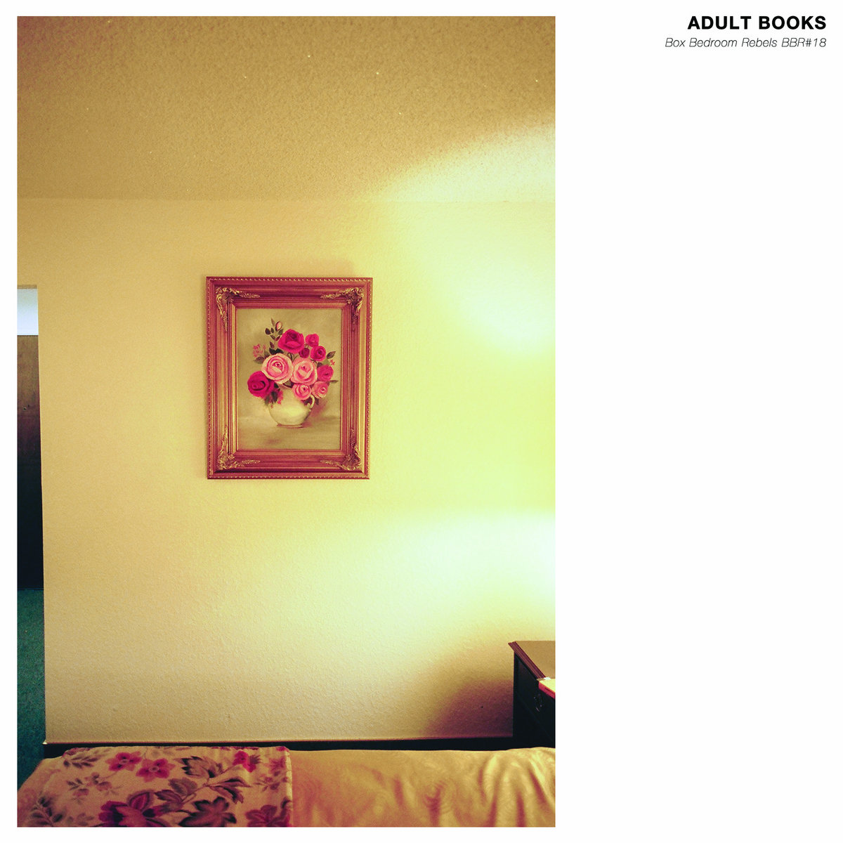 BBR18 Adult Books mini LP Adult Books Box Bedroom Rebels