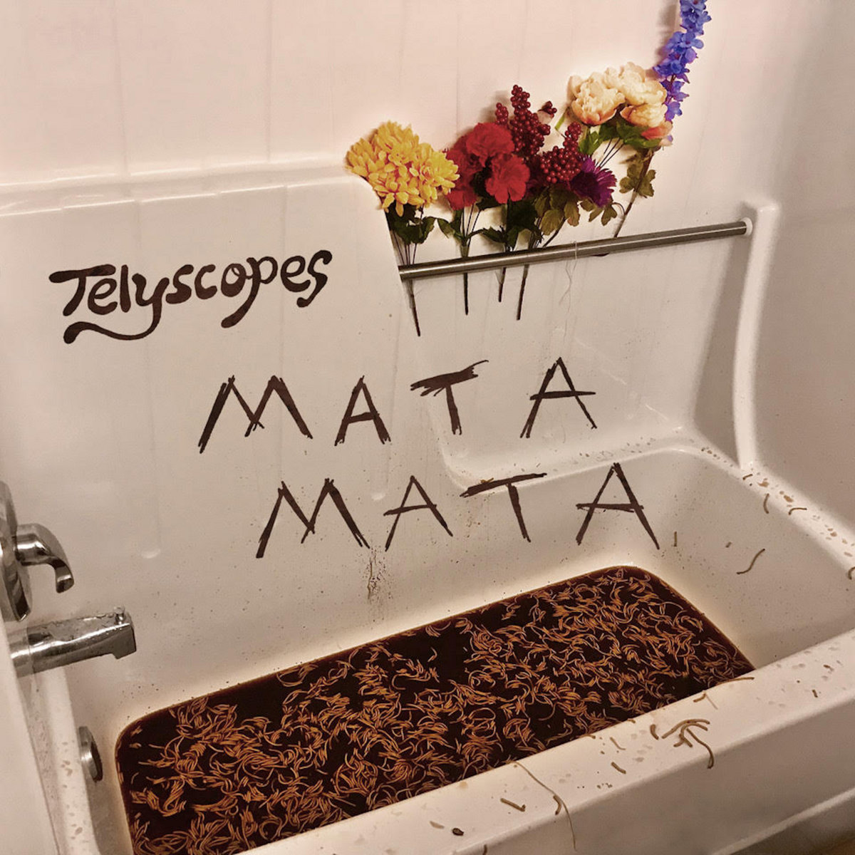 Mata Mata Telyscopes
