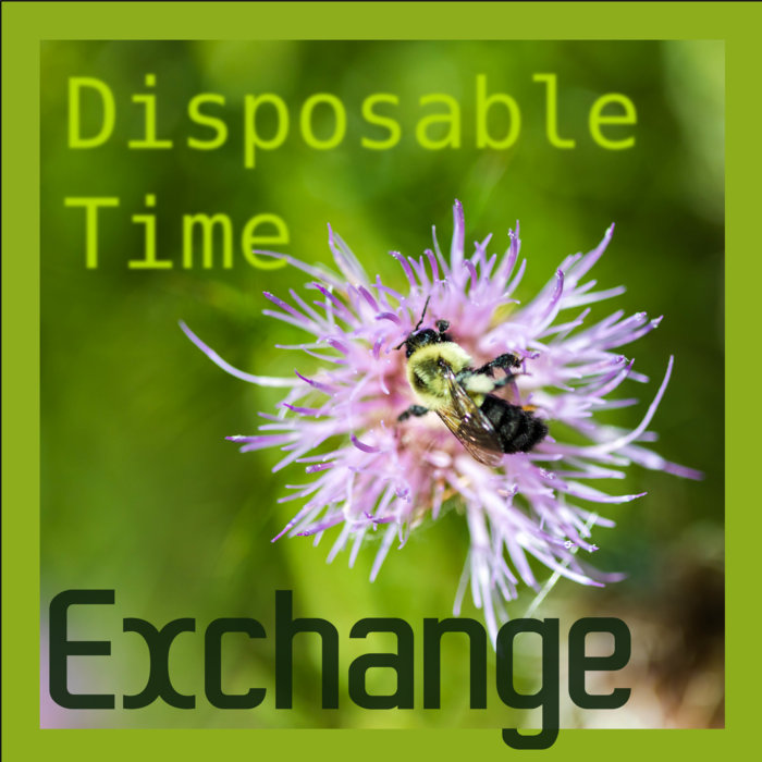 Exchange Disposable Time