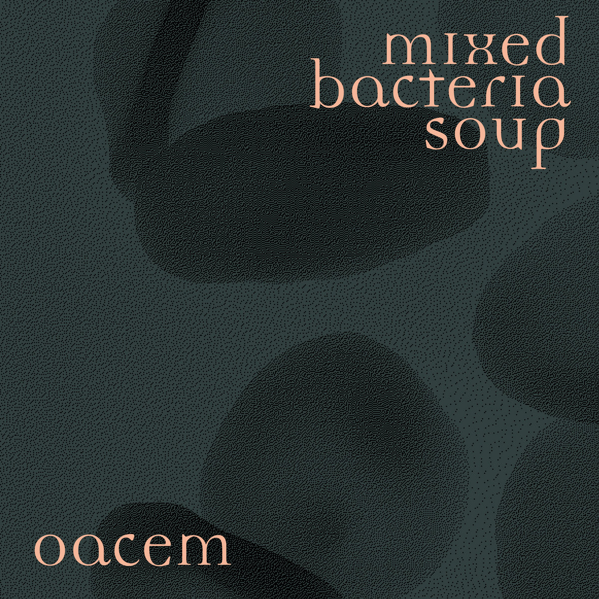 Mixed Bacteria Soup (QR006) OACEM Quanta Records