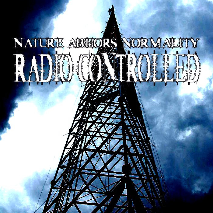 RadioControlled Nature Abhors Normality Florida Noise Ordinance