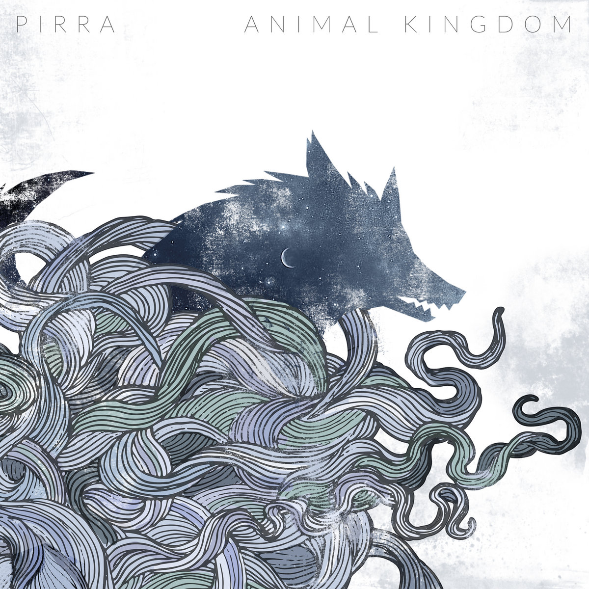 24 Pages Drawing Book Animal Kingdom English Edition Coloring Book