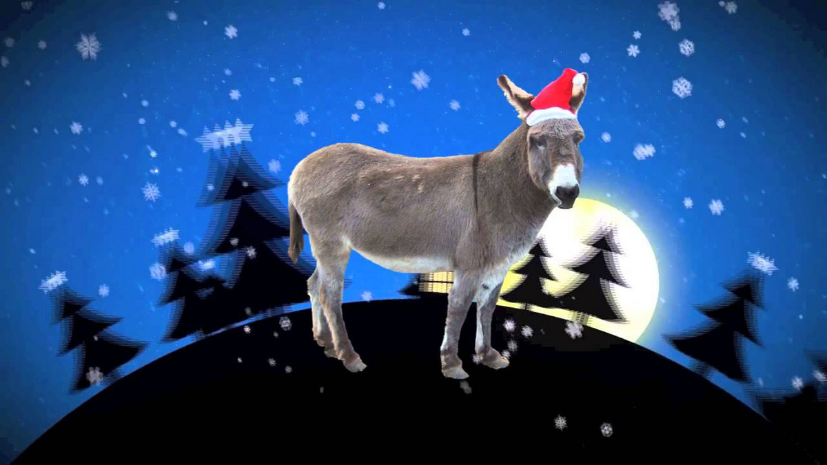 Dominick The Donkey (Cover) Sandra and the Donkettes