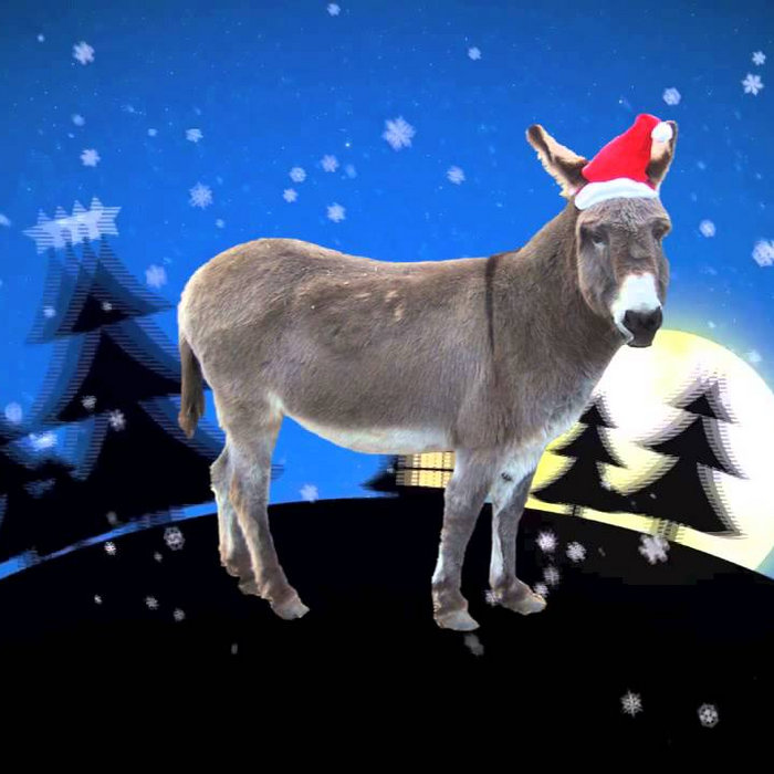 Dominick The Donkey (Cover) Sandra and the Donkettes