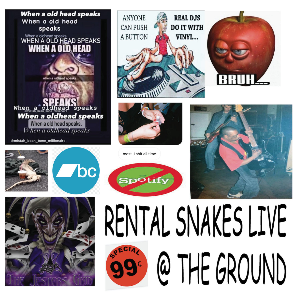 LIVE THE GROUND Rental Snakes