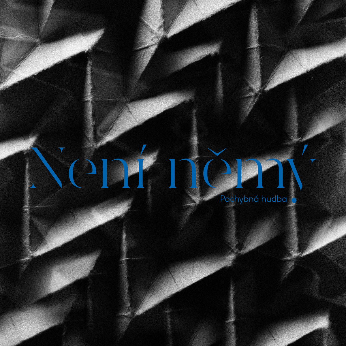 Pochybna Hudba Neni Nemy Poli5 Label