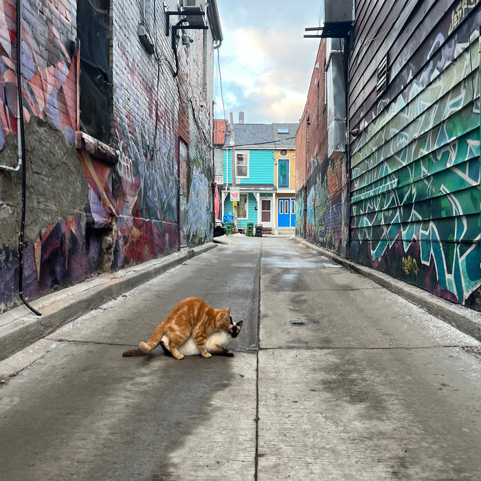 Vol. 1 Life Is Beautiful Burnt Knives