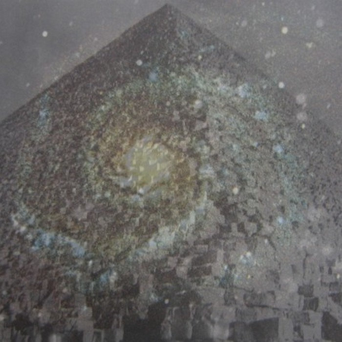 Blind Turtle Analogy ELEKTRONAVN ruralfaune