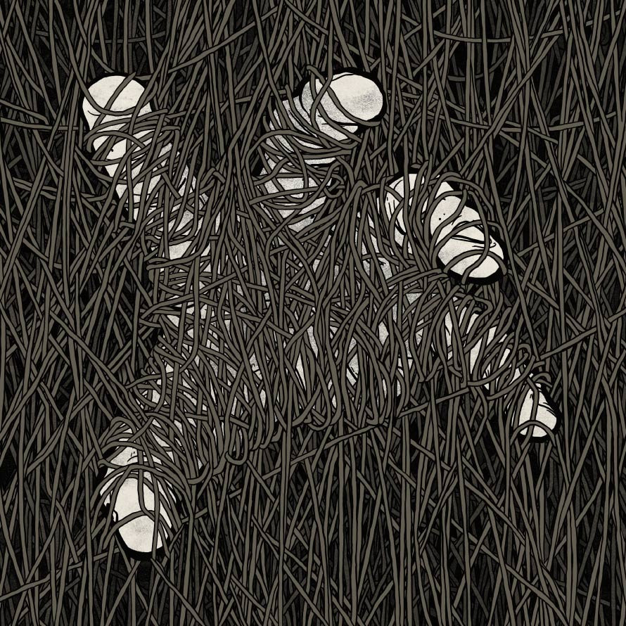 Escapism Is A Dying Art Accept The Change