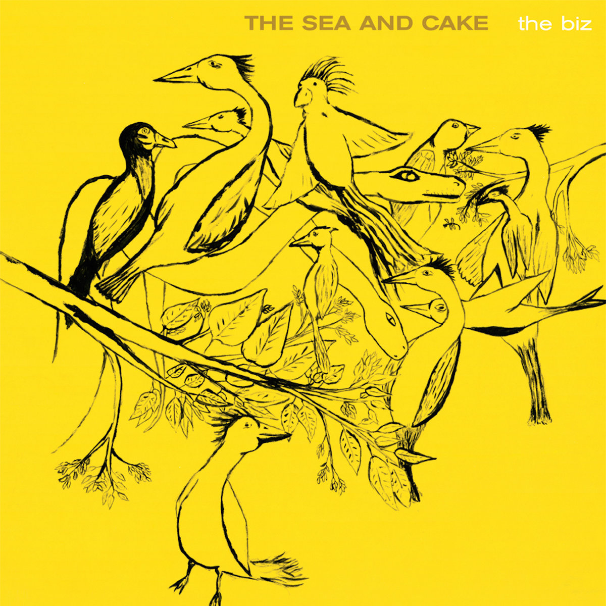 Album 22, The Biz, The Sea and Cake GO KAYAK NOW Sea, Surf, & White
