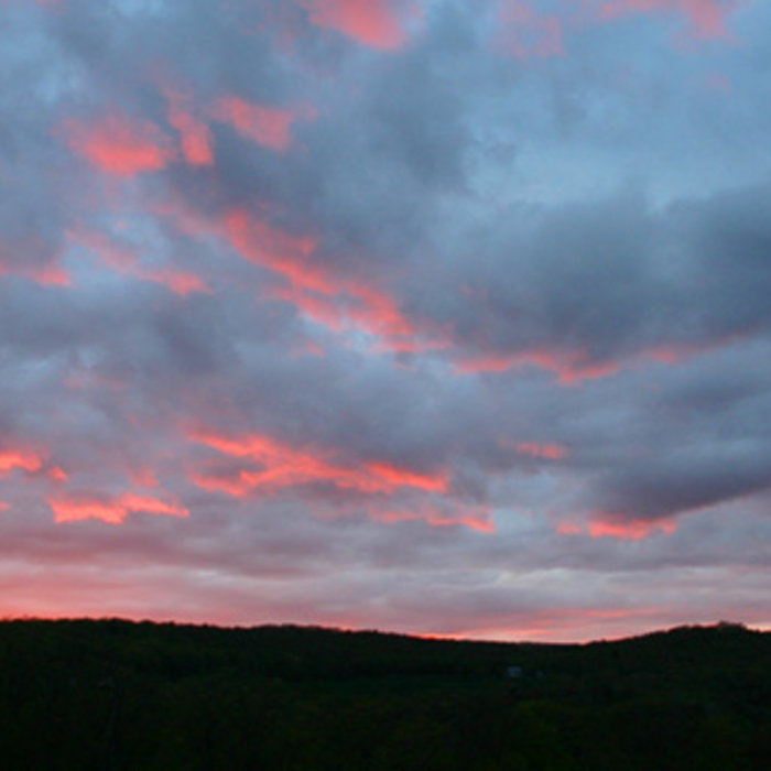 Brian Mooney The Putney School Summer Programs