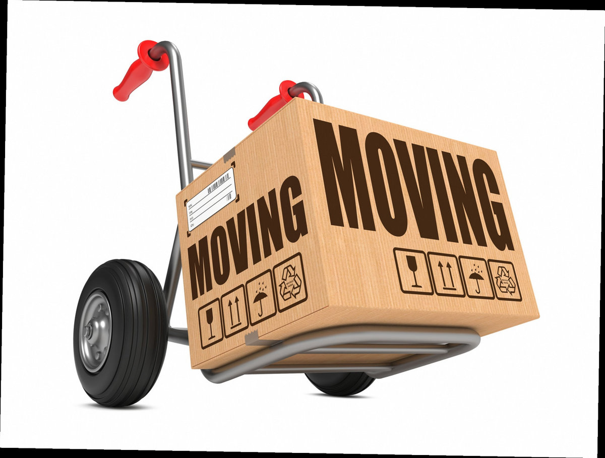 Craigslist Wichita Falls Tx petfinder