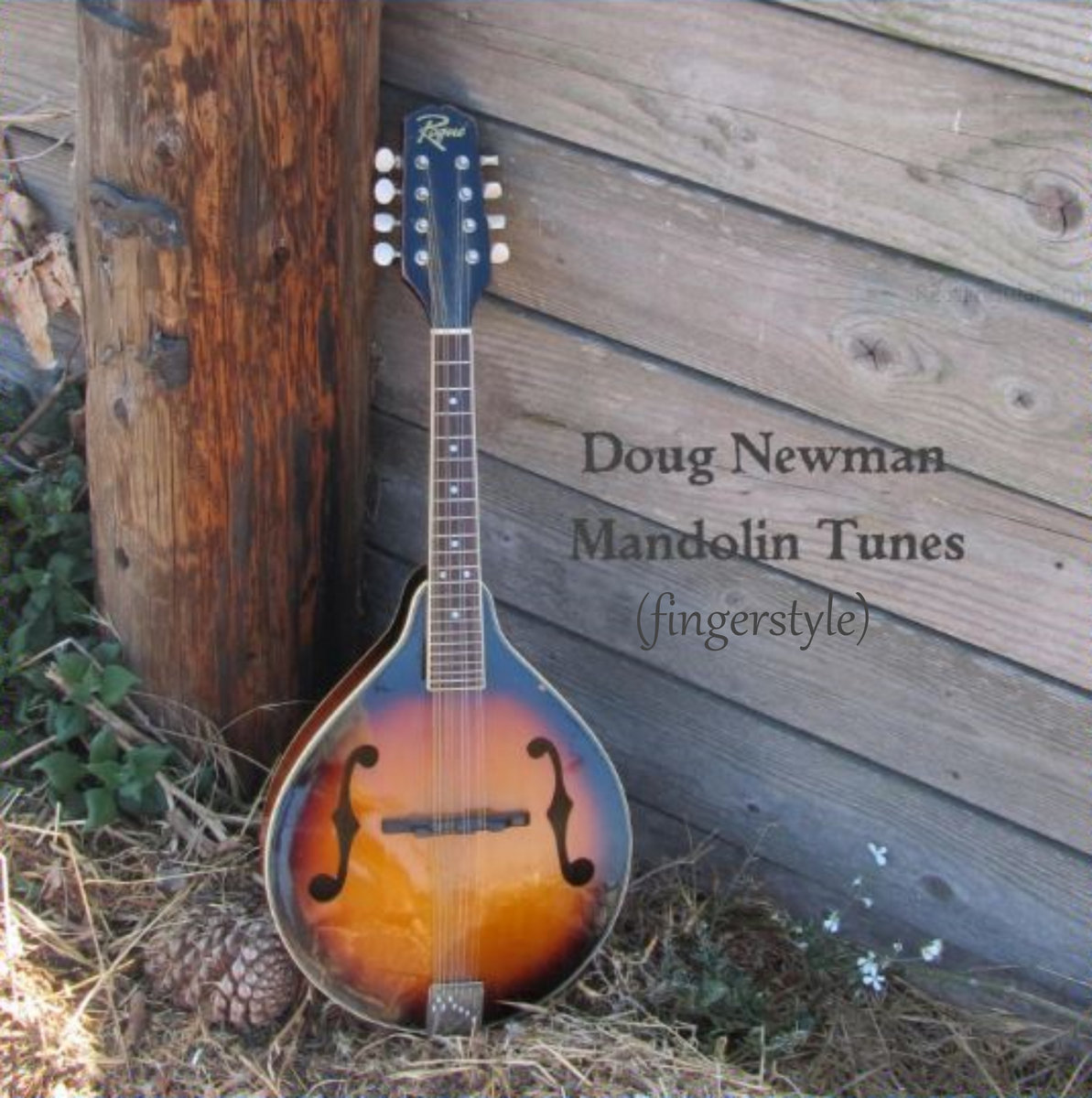 Mandolin Tunes (fingerstyle) (selections from the album "Mandolin Tunes