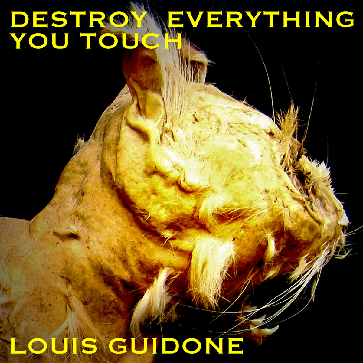 Destroy Everything You Touch Louis Guidone