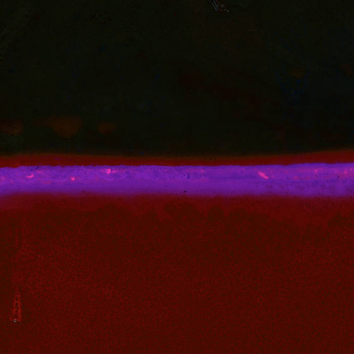 Mnemosyne Bucket Brigade Love All Day