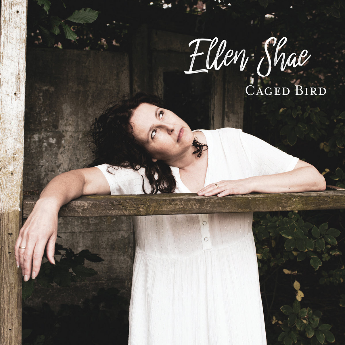 Caged Bird Ellen Shae