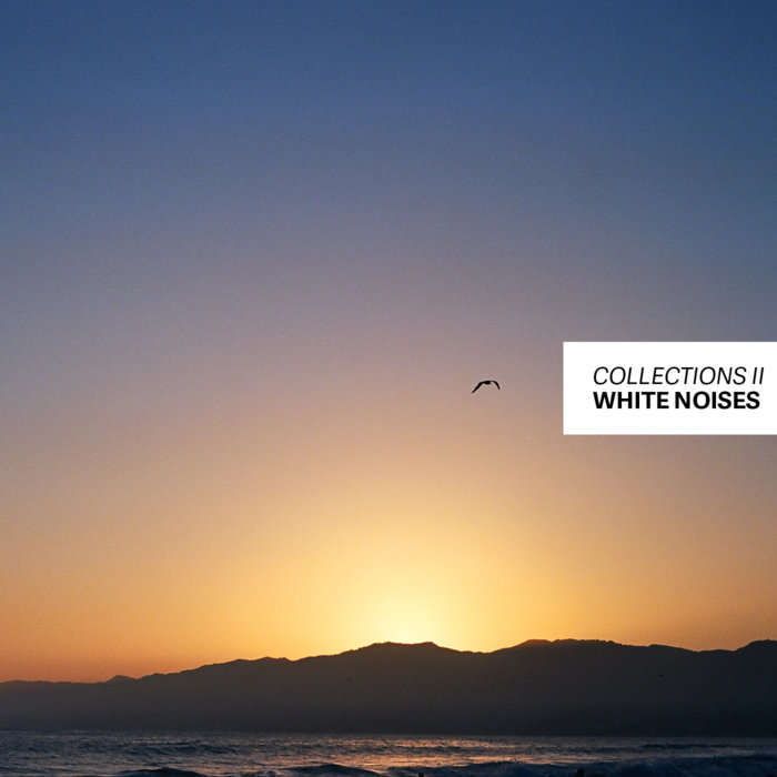 Collections II Gregory White