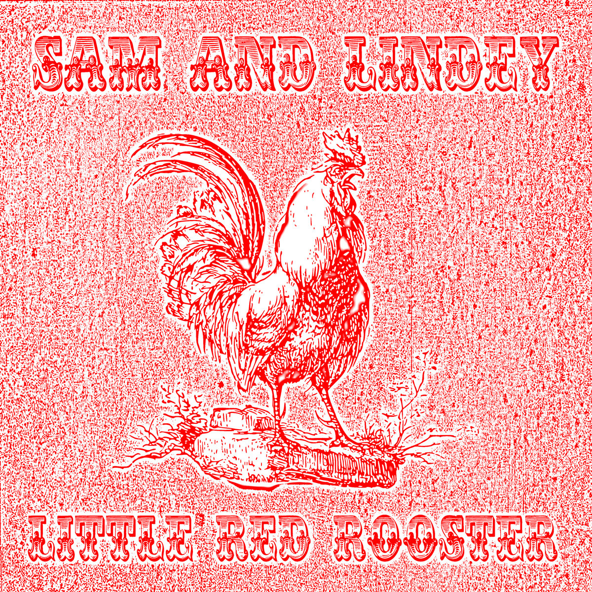 Little red rooster Sam