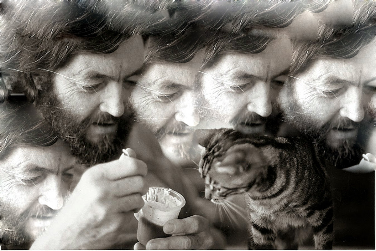 Aplastamiento de las gotas (Julio Cortázar) Diego Cotelo