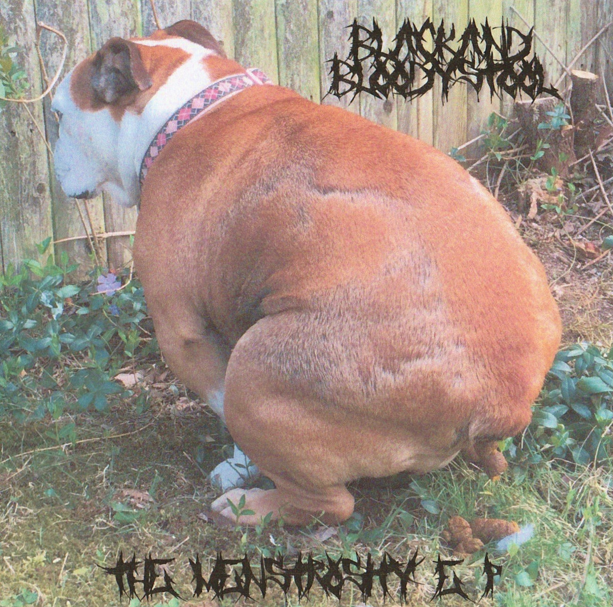 Bloody Stool Dog Stools Item