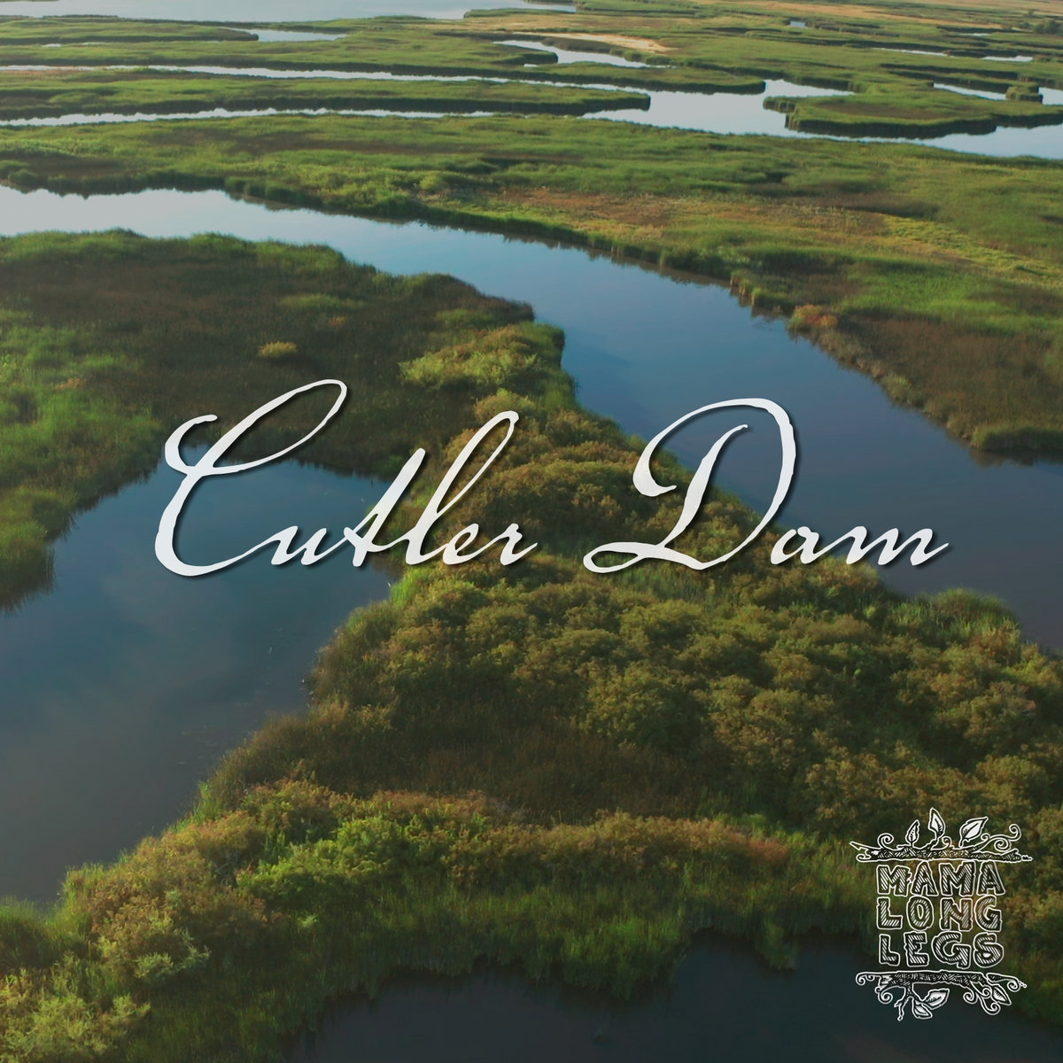 Cutler Dam Mama LongLegs