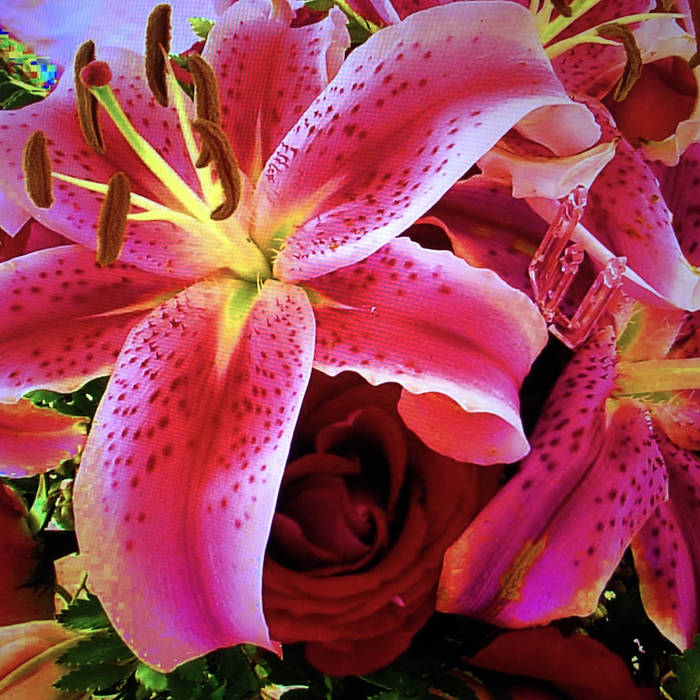 Honoring the Inner Sanctum Wil Greenstreet