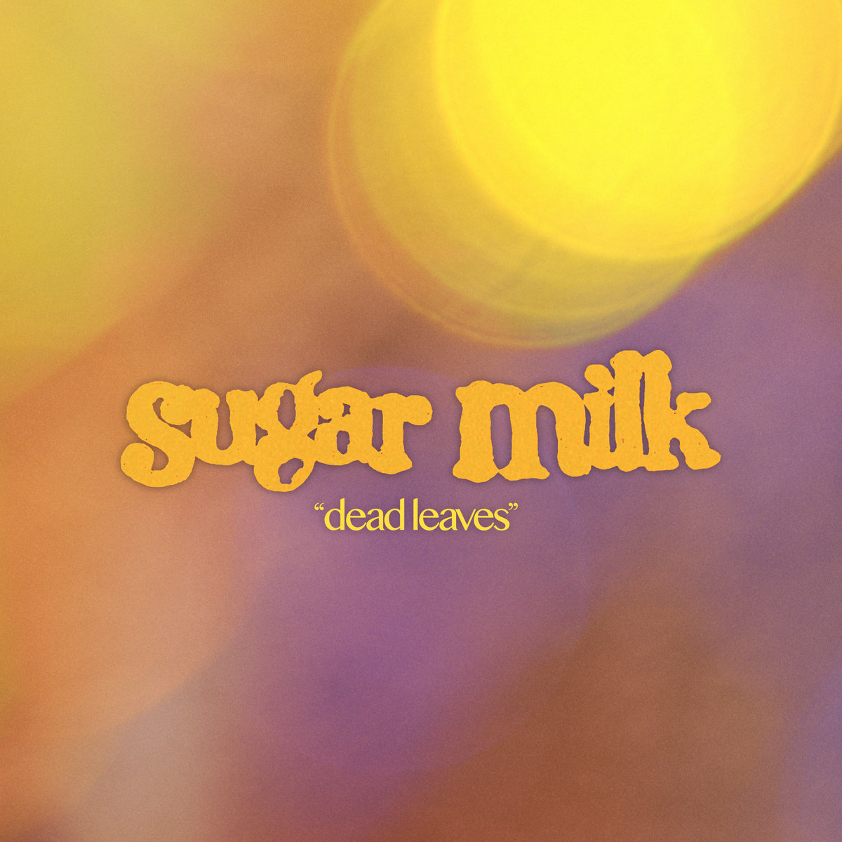 Sugar Milk Sugar Milk