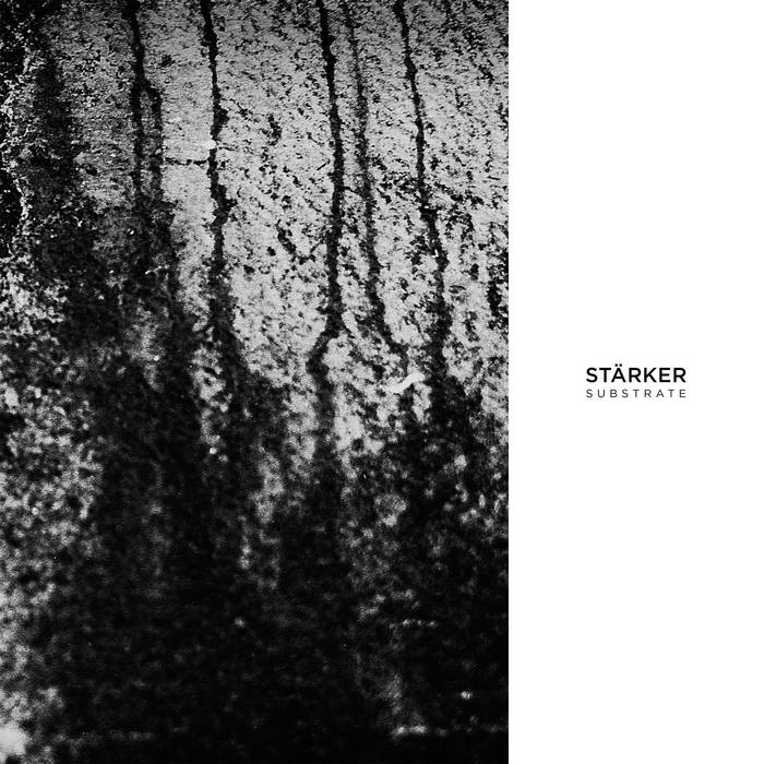 mayseed's collection | Bandcamp