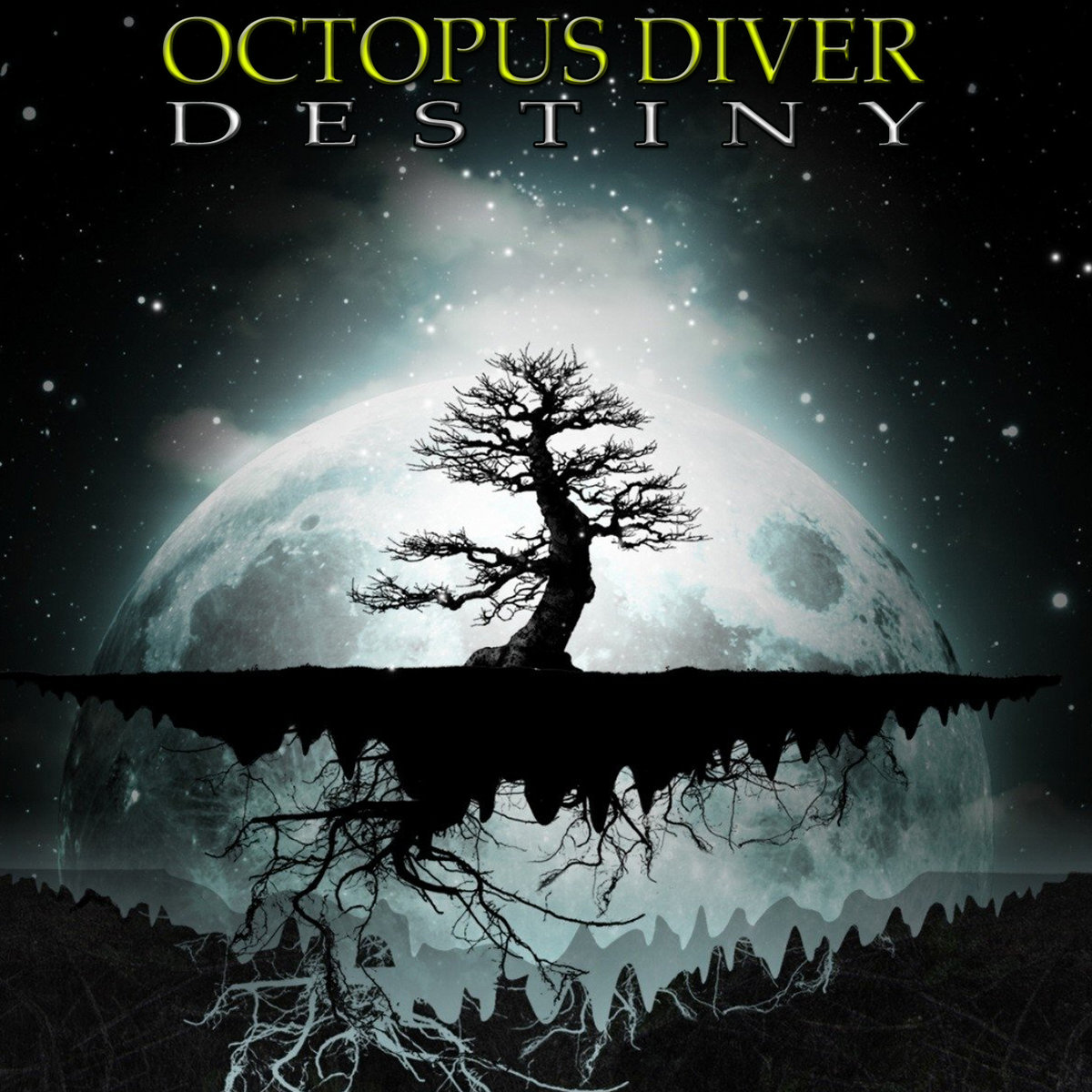 DESTINY Octopus Diver