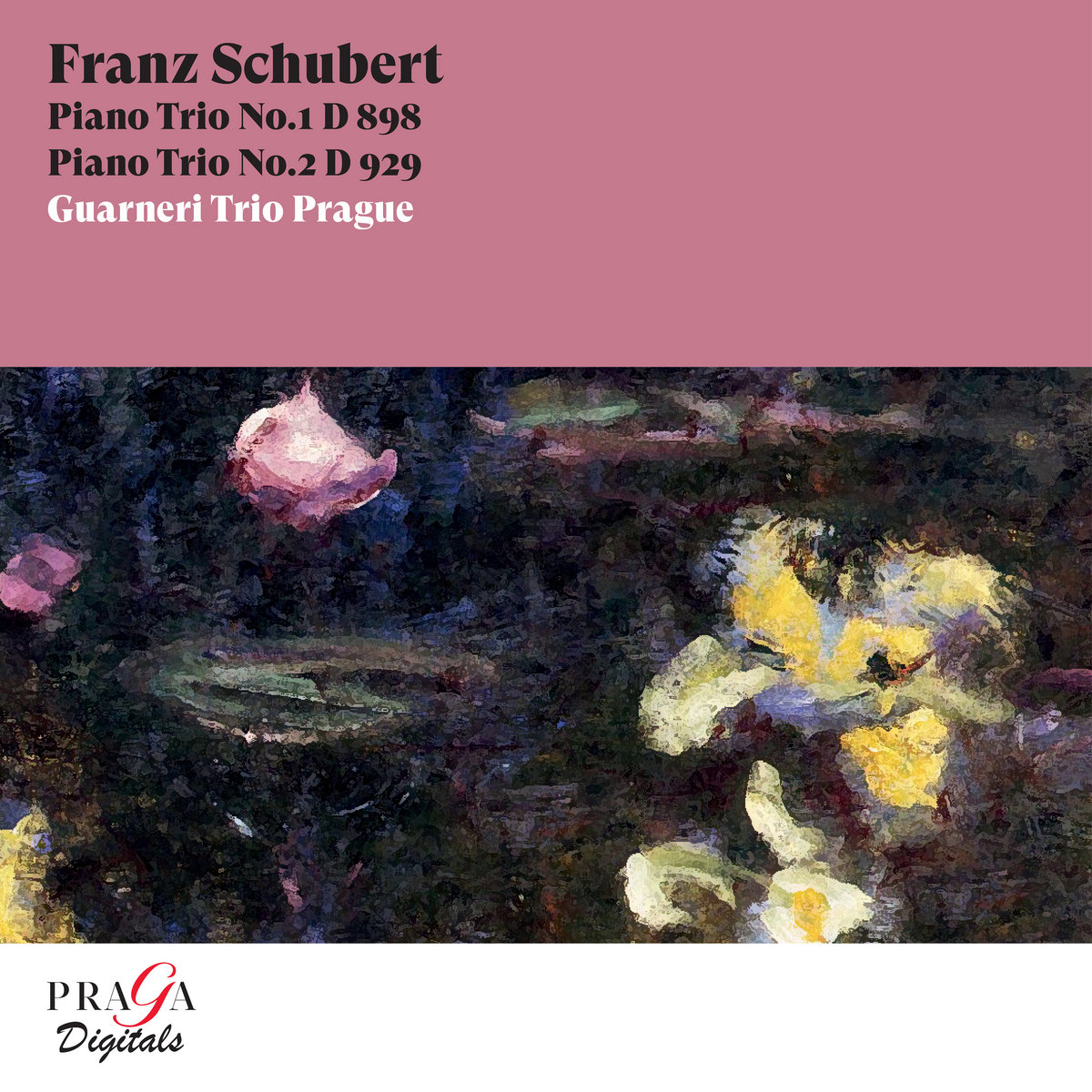 Franz Schubert Piano Trio No. 1 Op. 99 D 898, Piano Trio No. 2 Op. 100