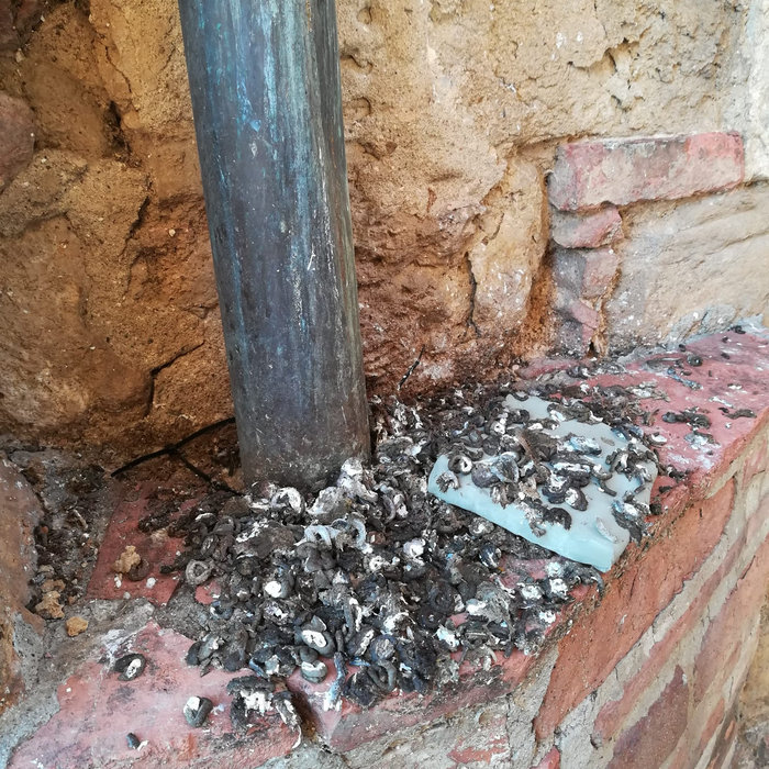 Stone Trash Stone Trash