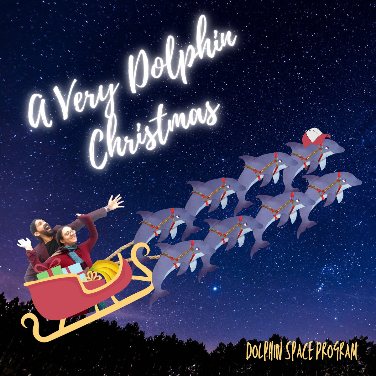 A Very Dolphin Christmas Dolphin Space Program