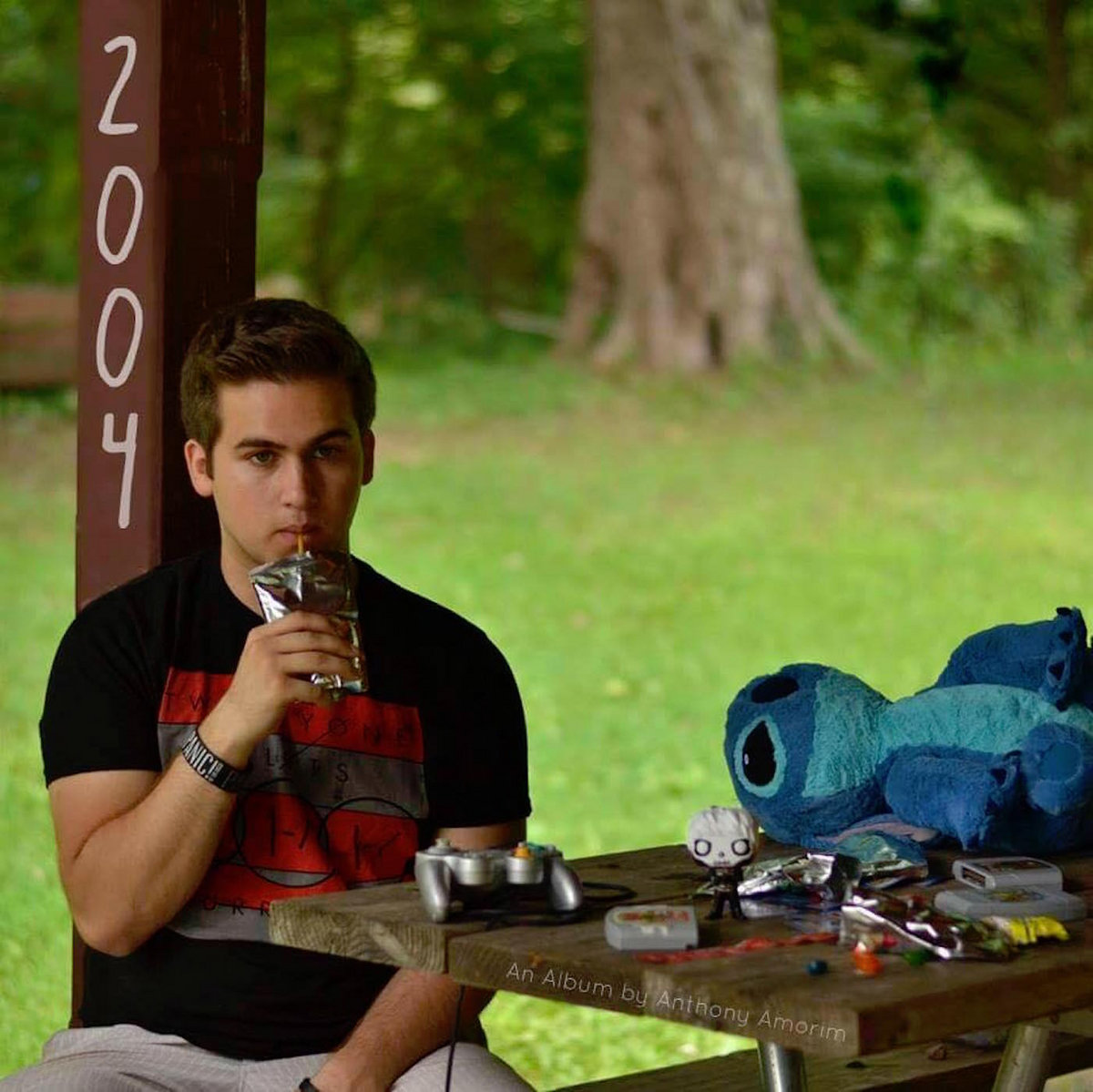 Ride (Twenty One Pilots Cover) Anthony Amorim