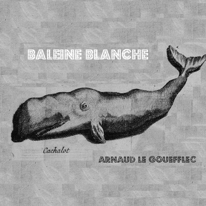 Baleine Blanche Arnaud Le Gouëfflec l'Eglise de la petite folie