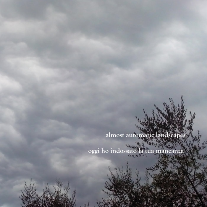 steli, parole almost automatic landscapes