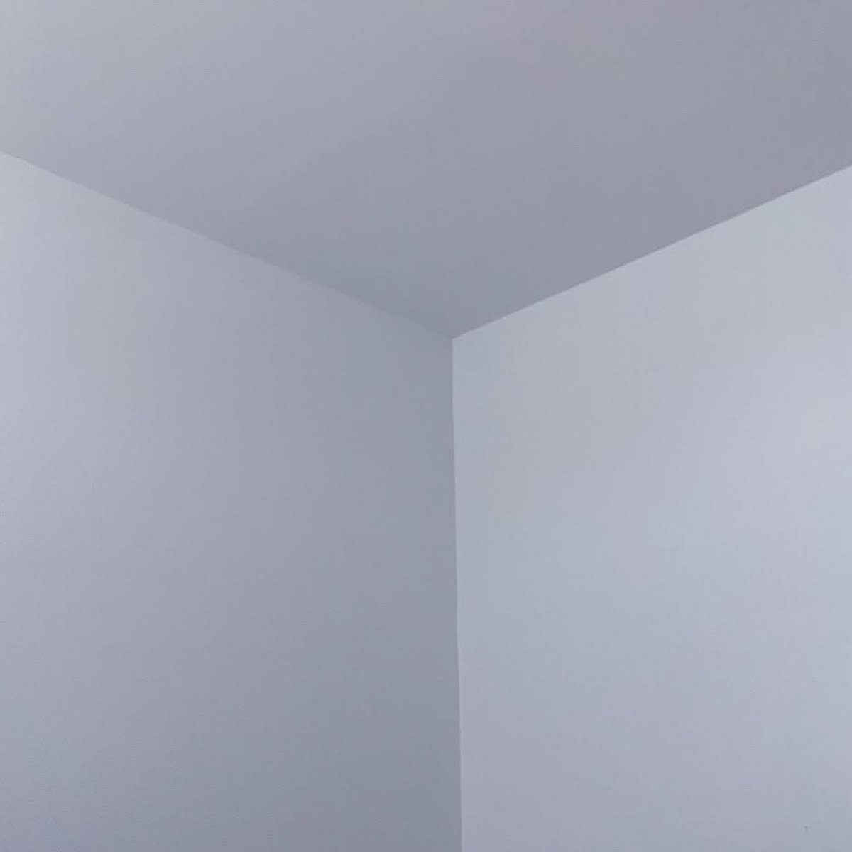 Wide Open Feeling Omer Leibovitz