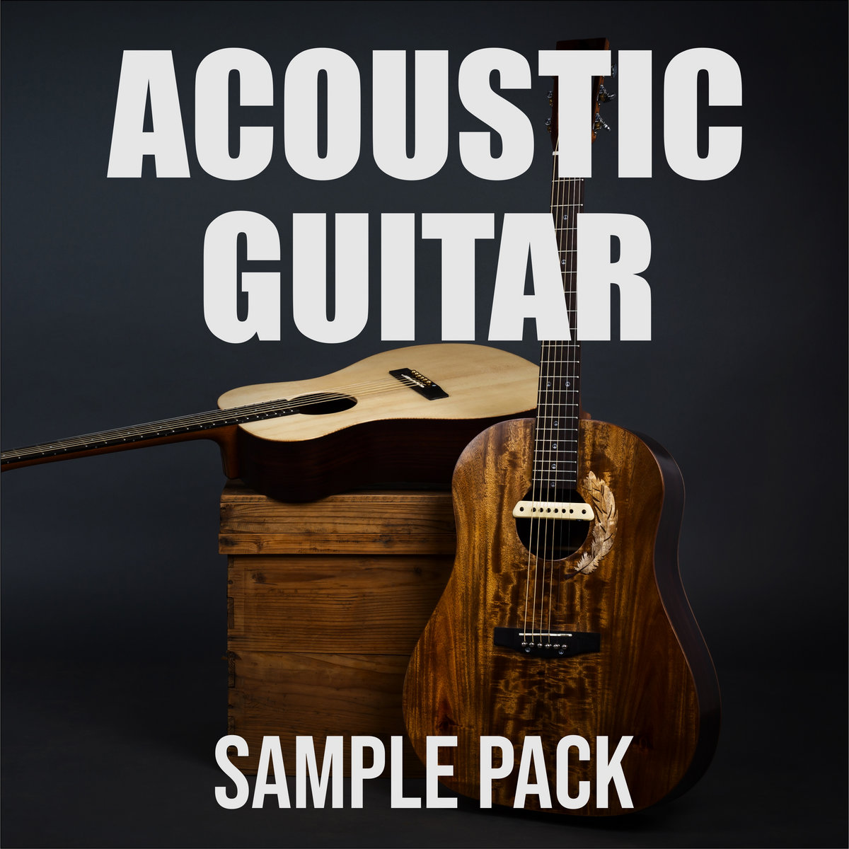Acoustic Guitar Sample Pack L. Daa