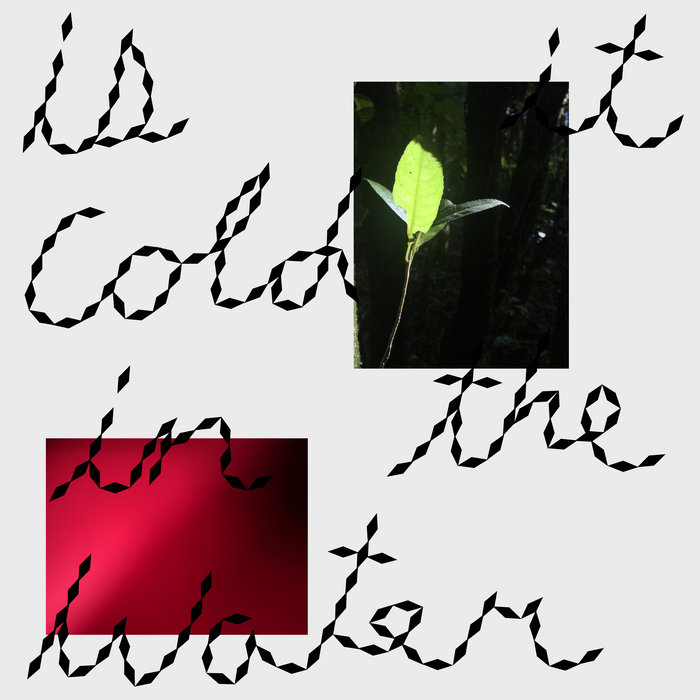 Is it cold in the water? Womb