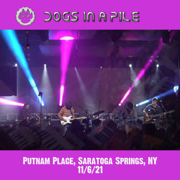 11/06/21 Putnam Place, Saratoga Springs, NY Dogs In a Pile