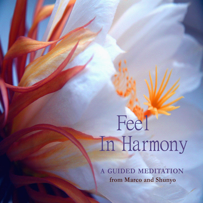 Feel in harmony Prem Shunyo & Veet Marco Veet Marco