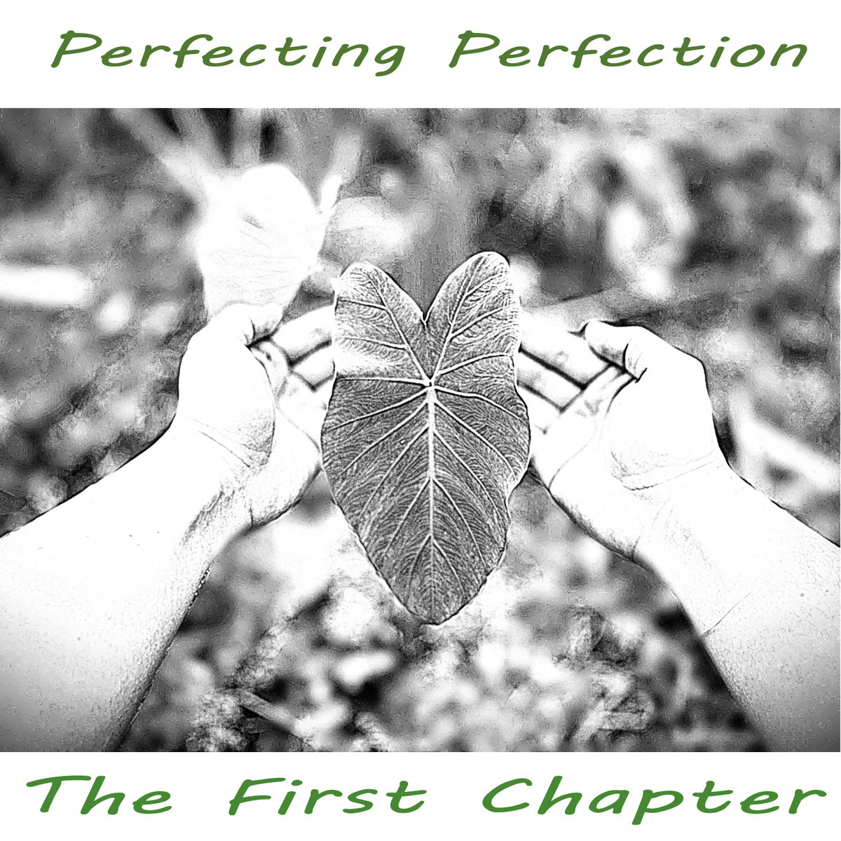 Perfecting Perfection: The First Chapter | PositiveSynergy