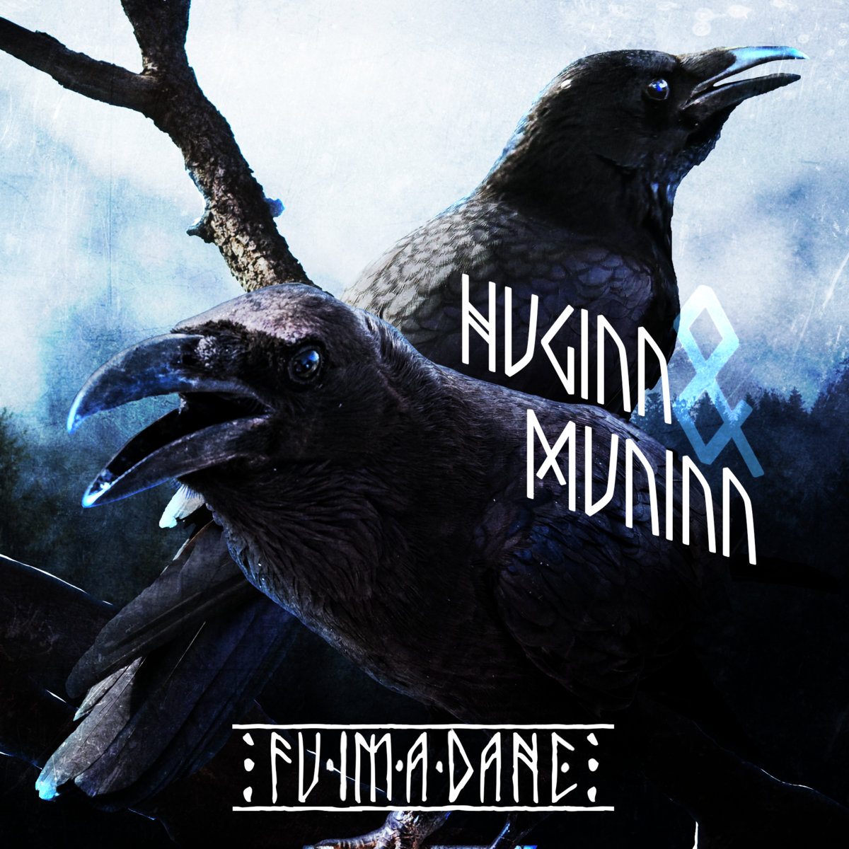 Huginn and Muninn Fuimadane