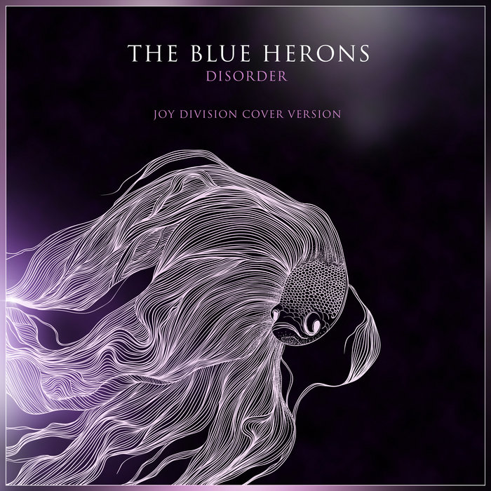 disorder / joy division cover the blue herons