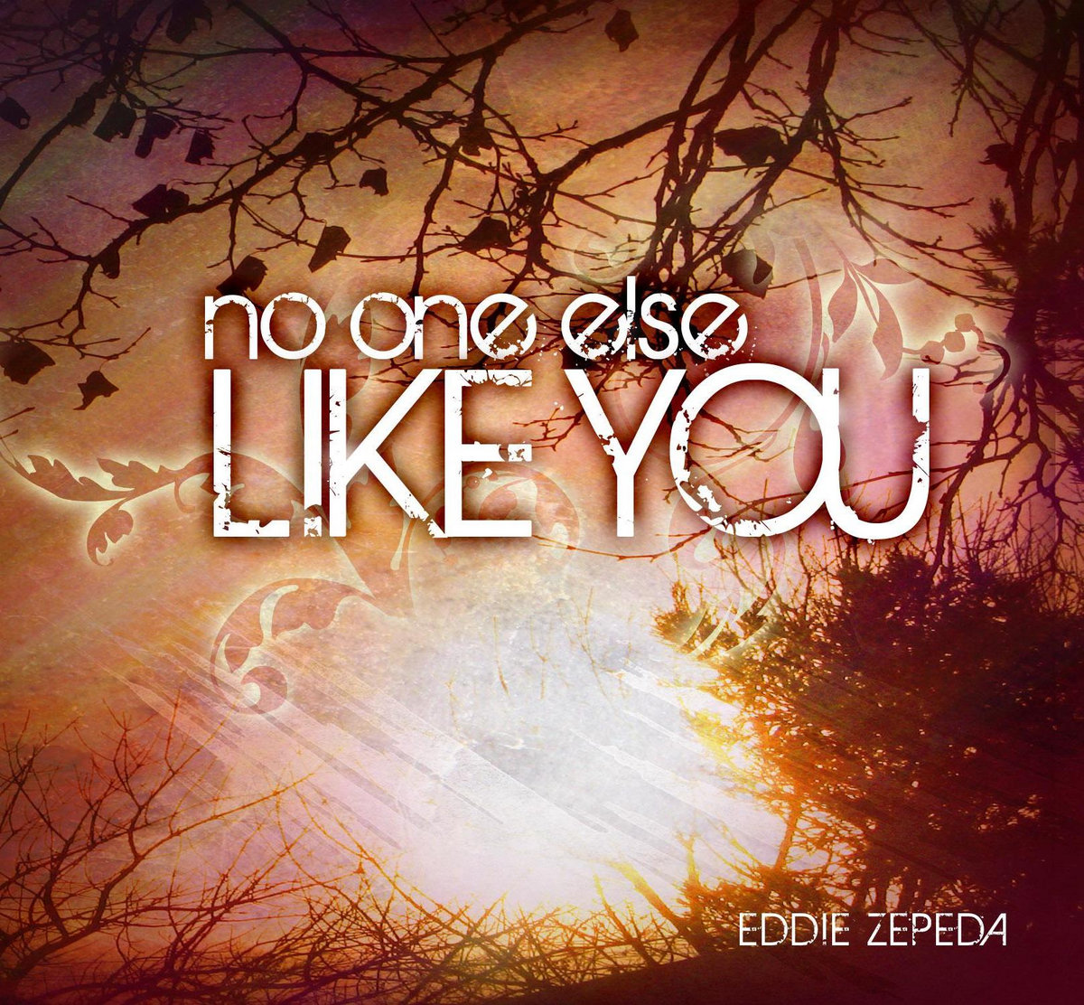 No One Else Like You Eddie Zepeda