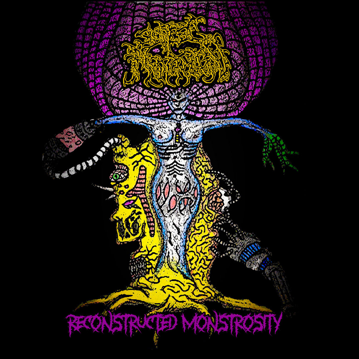 SEPTIC MUTATION "RECONSTRUCTED MONSTROSITY" Cat Basket Recordings