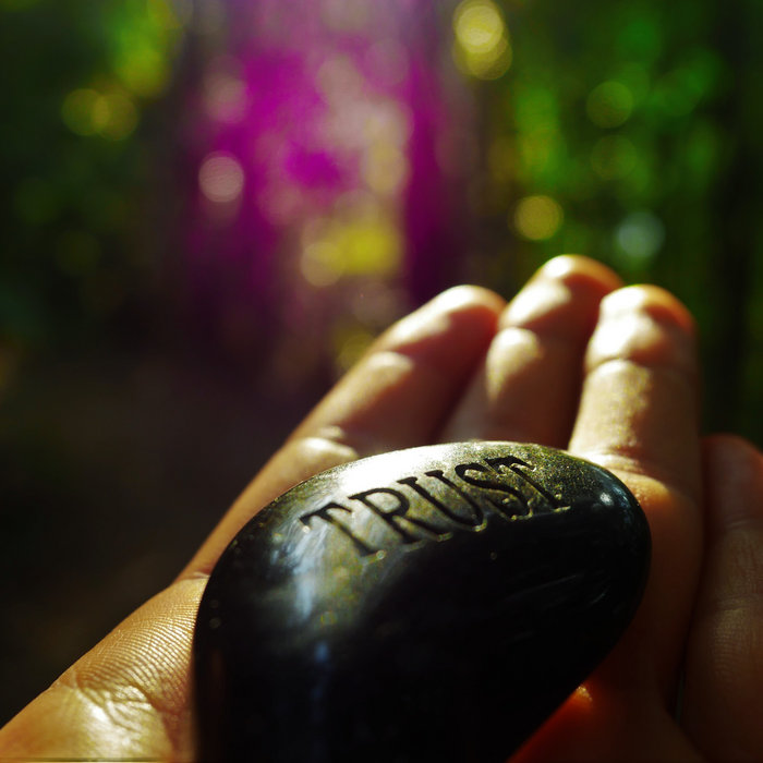 Gold Coast Bulletin Christmas Lights Competition 2012 Philoella