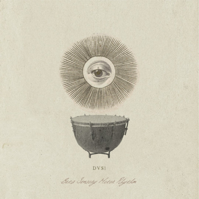 Beta Sensory Motor Rhythm DVS1